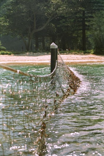 The draining of the Basin